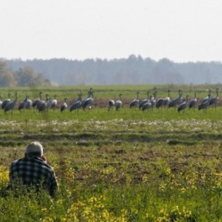 Afbeelding voor Vogels spotten in Polen