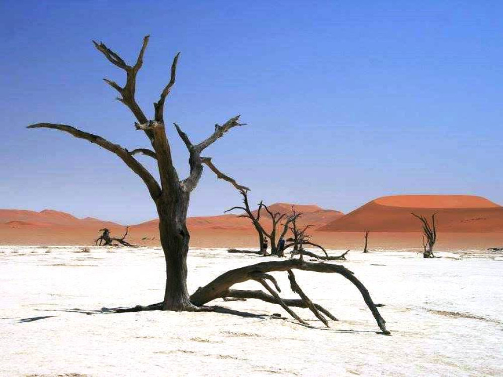 Deadvlei Namibië