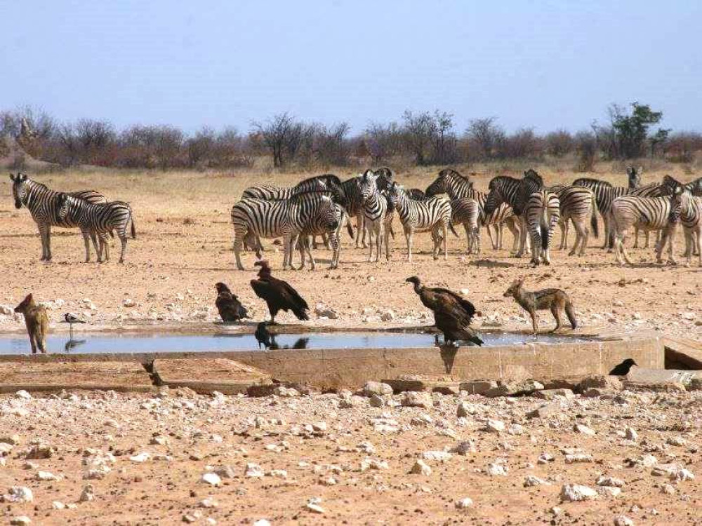 Etosha