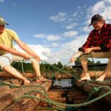 Afbeelding voor Vlotvaren in Zweden