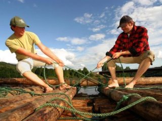 Afbeelding voor Vlotvaren in Zweden