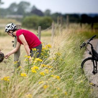 Afbeelding voor Fietsvakantie Denemarken