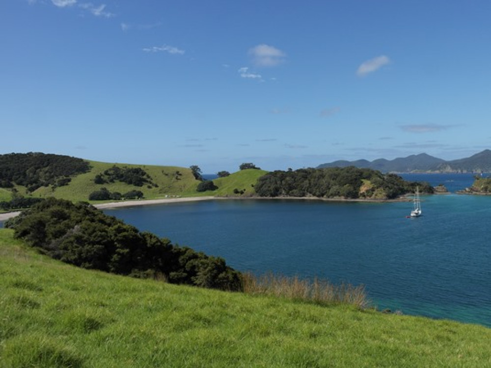 Groene Bay of Islands