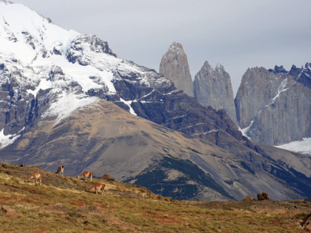 Wandelen Patagonie