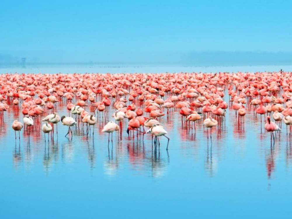 nakuru