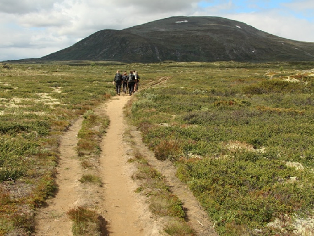 Tocht in Dovrefjell