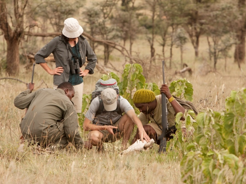 Walking safari