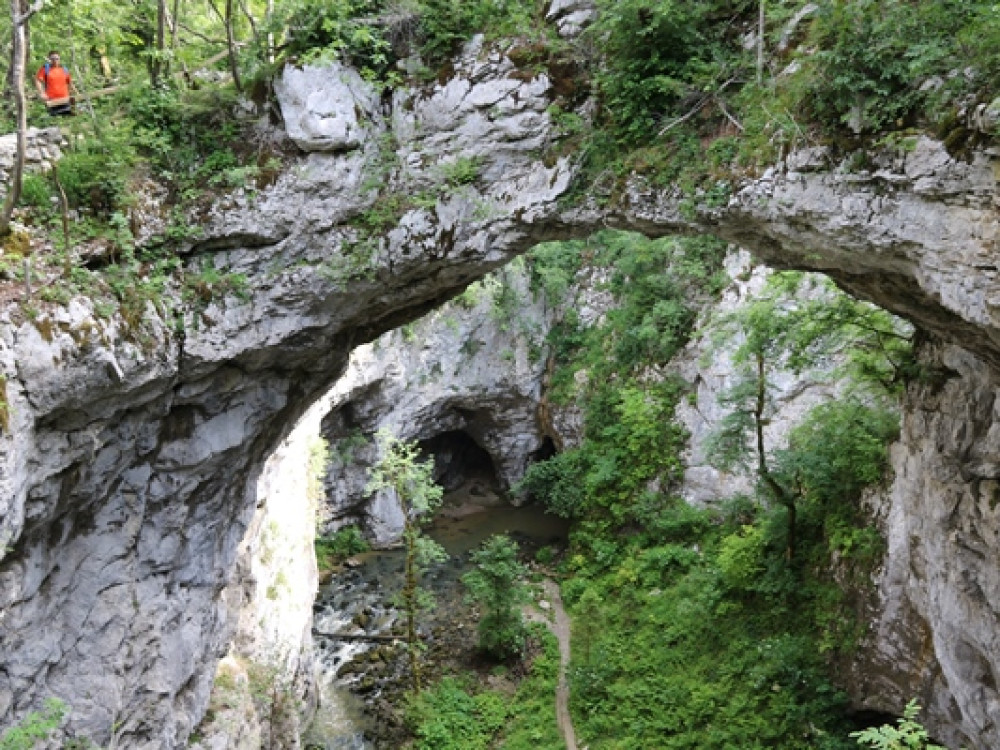 Natuurlijke brug