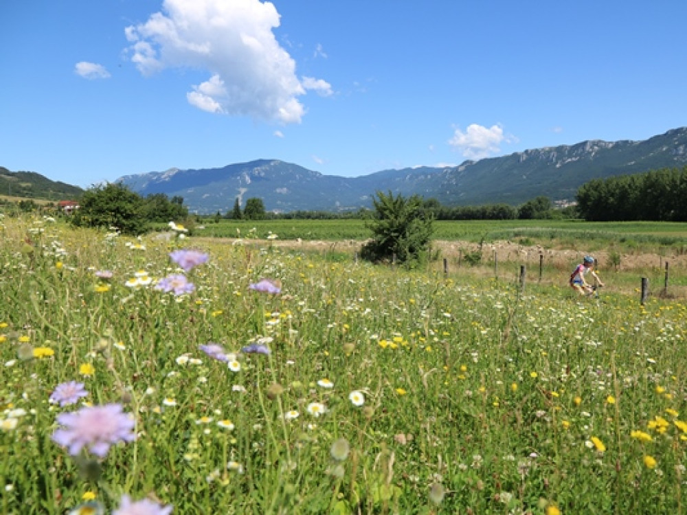 Fietsen in Slovenië