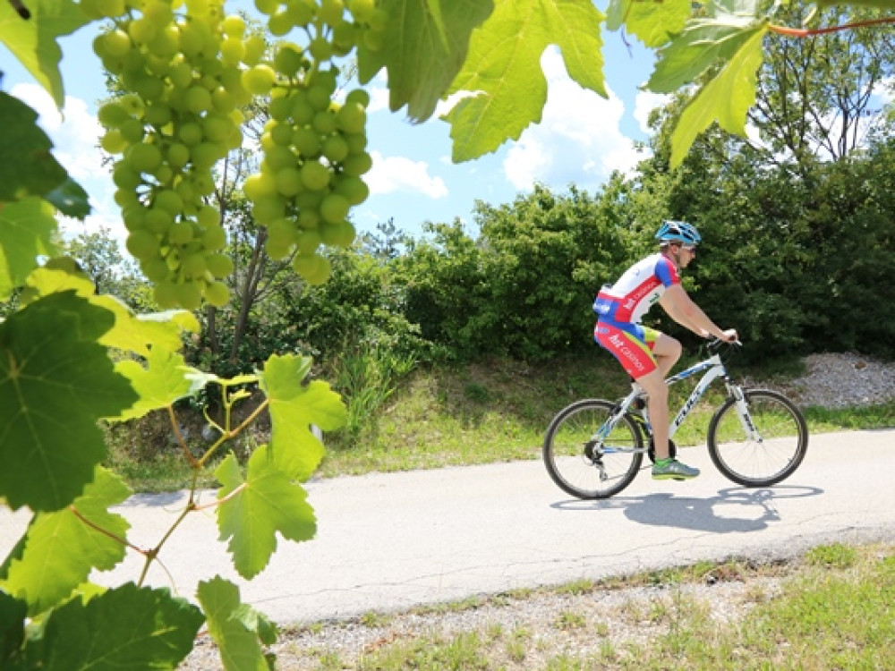 Fietsvakantie Slovenië