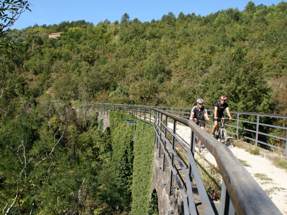 Fietsen in Istrië