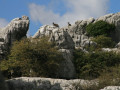 Dieren in Andalusië