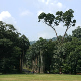 Afbeelding voor Botanische tuinen in Sri Lanka