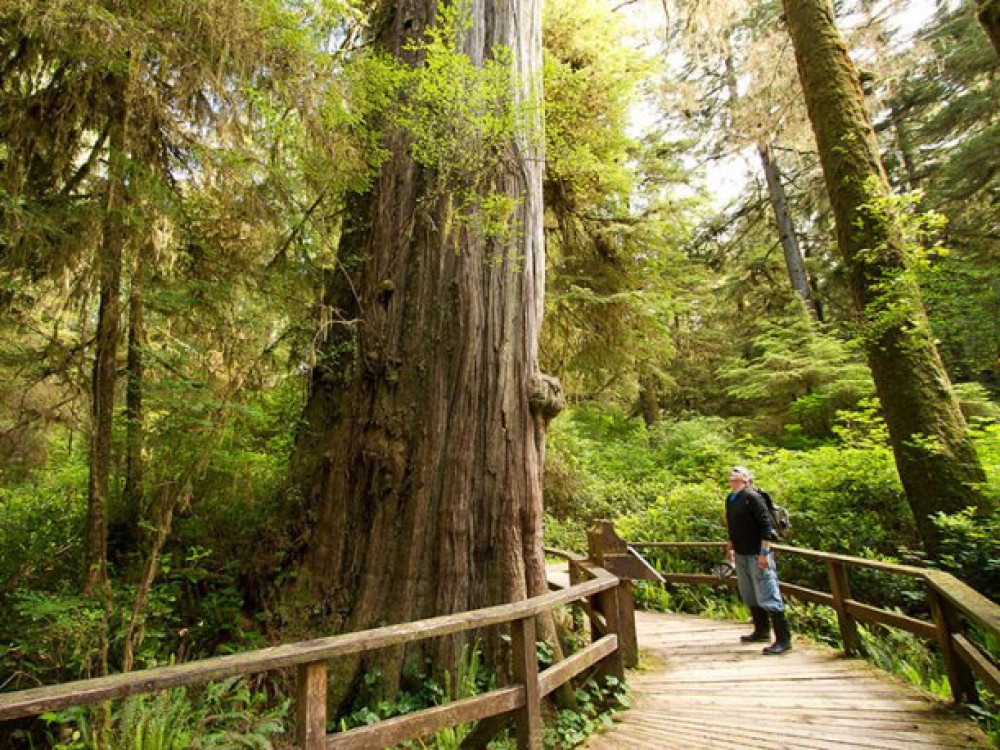 Natuur Vancouver Island