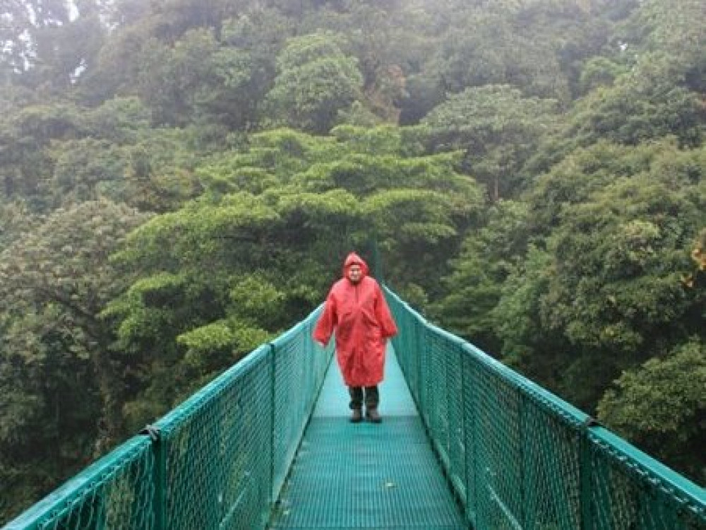 Wandelen Monteverde