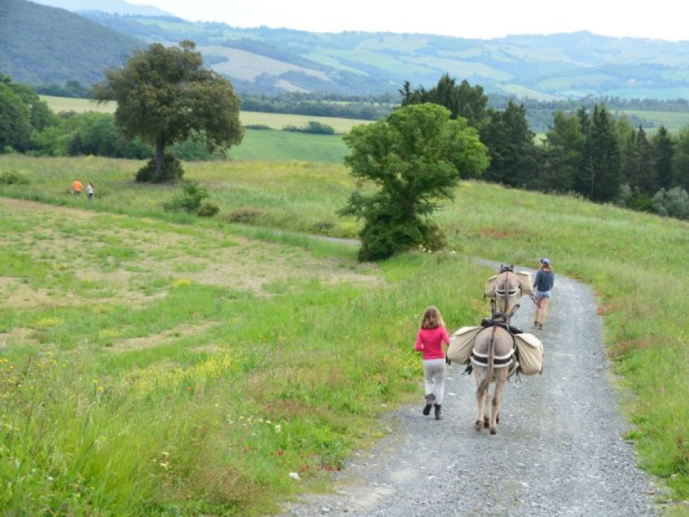 Ezeltocht in Toscane