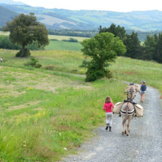 Afbeelding voor Ezeltocht in Toscane