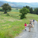 Afbeelding voor Ezeltocht in Toscane