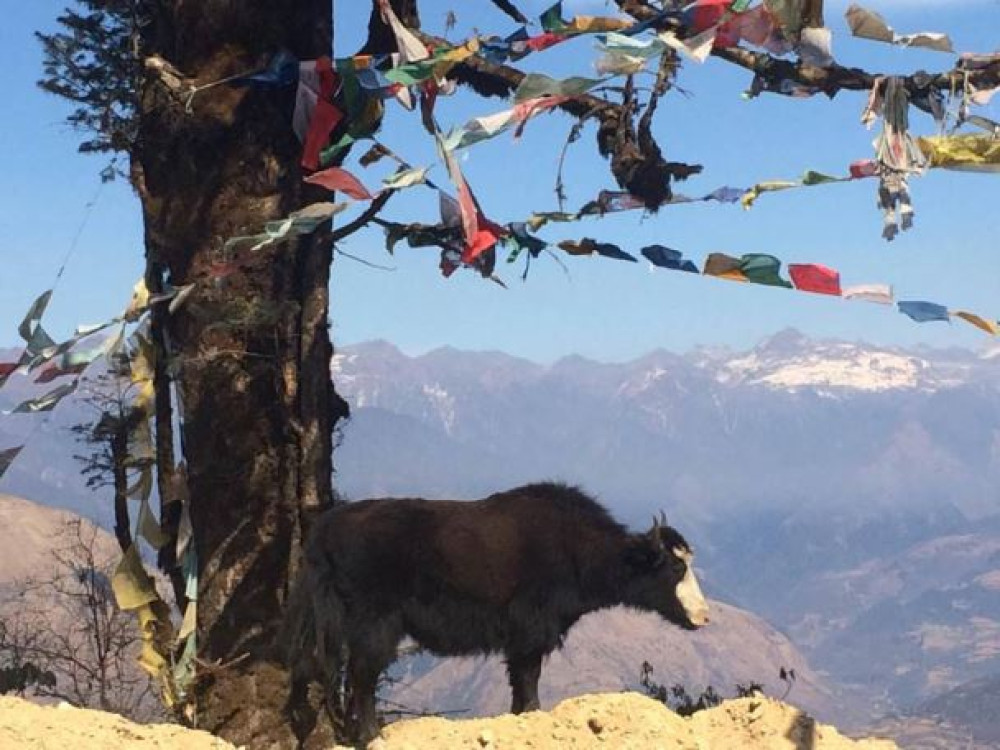 Trektocht Bhutan