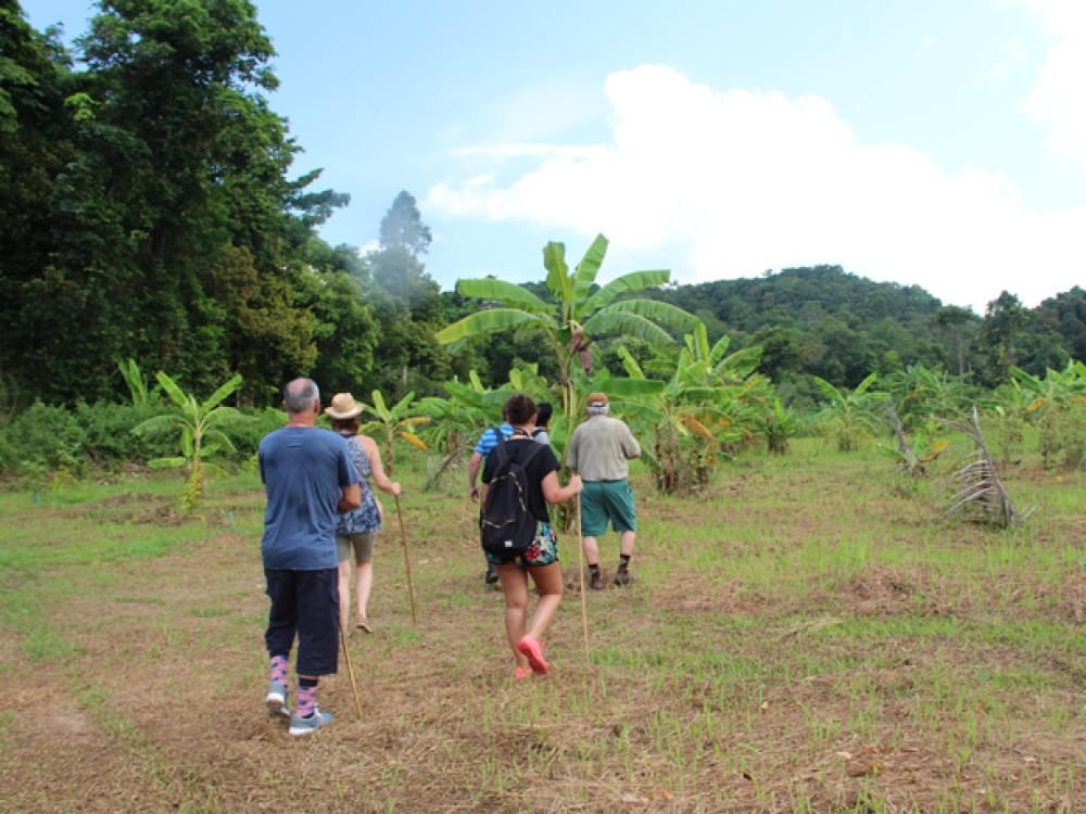 Jungletocht Koh Chang