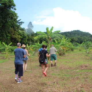 Afbeelding voor Wandelen in Thailand