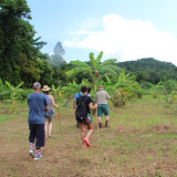 Afbeelding voor Wandelen in Thailand