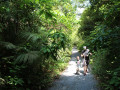 Jungletocht