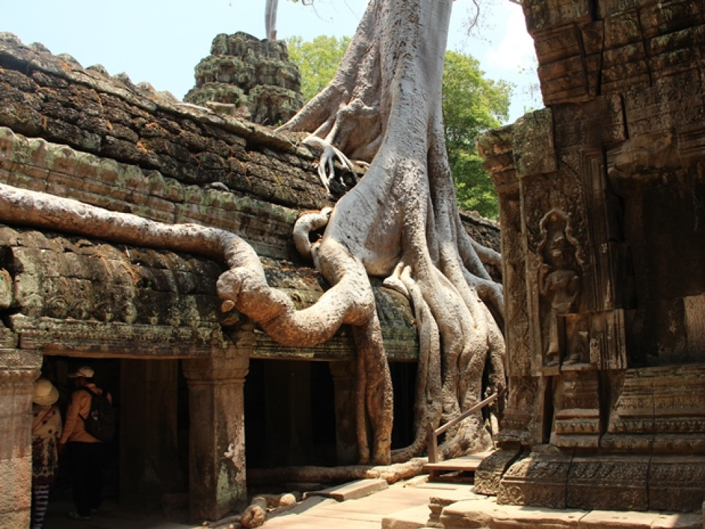 Ta Phrom tempel