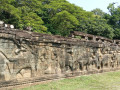 Terrace of the Elephants