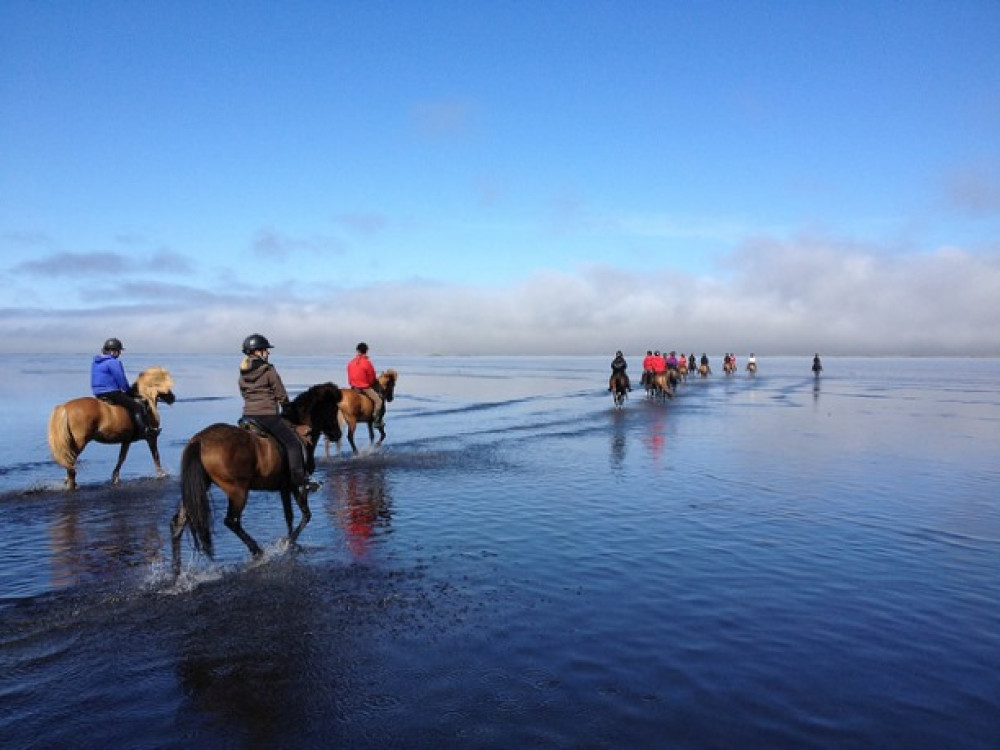 Horseback riding