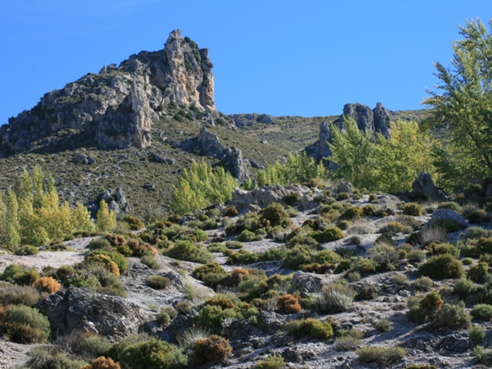 Bergen Andalusië