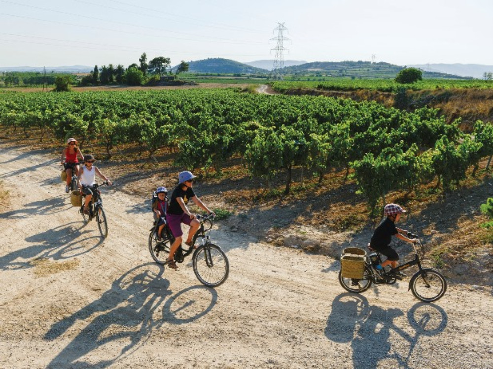 Fietsen Penedès