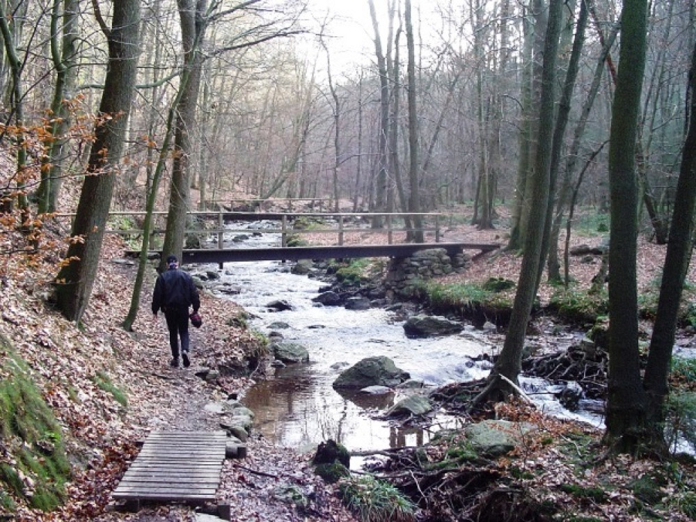 Wandelen in de Ardennen