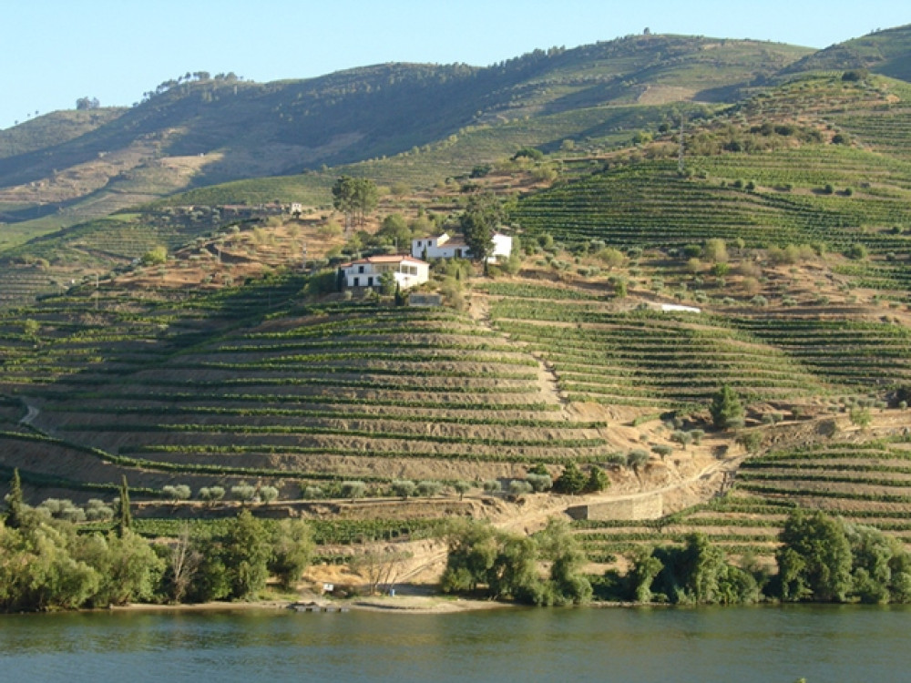 Douro