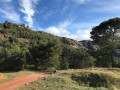 Fietsroute
