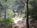Mountainbike trail