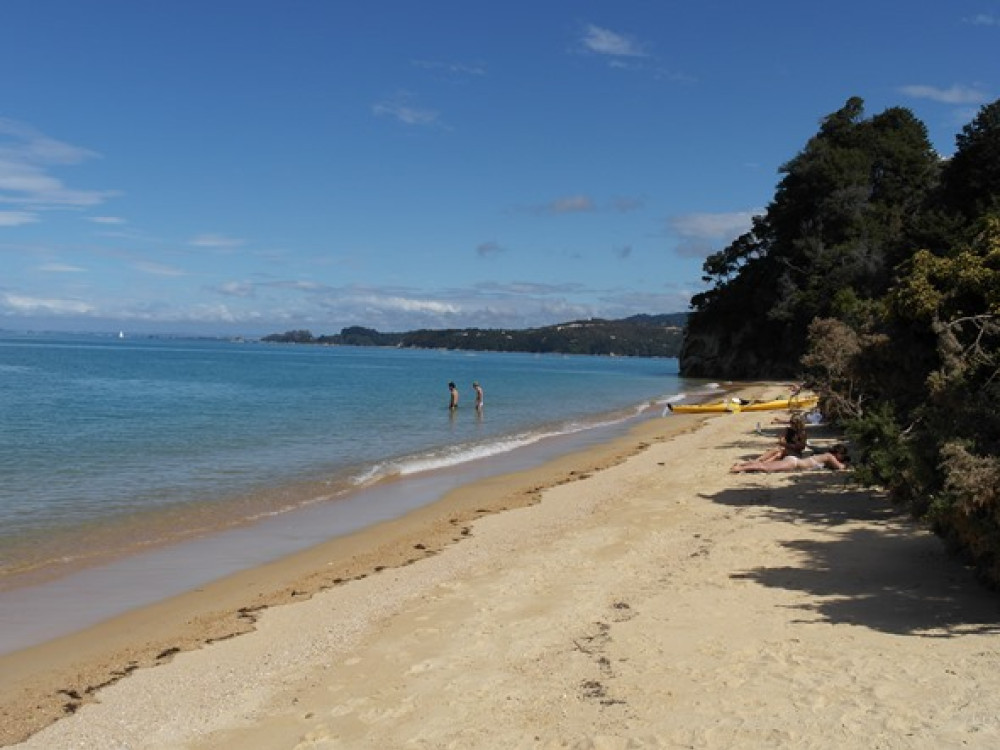 Abel Tasman