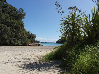 Afbeelding voor Stranden in Nieuw-Zeeland