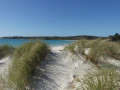 Karika