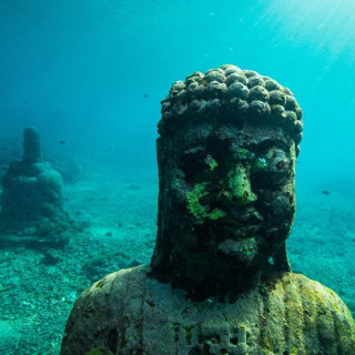 Afbeelding voor Duiken in Indonesie