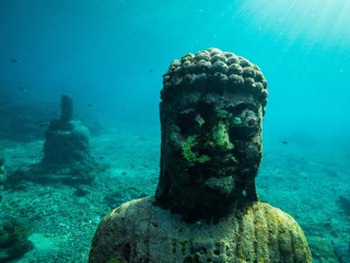 Afbeelding voor Duiken in Indonesie