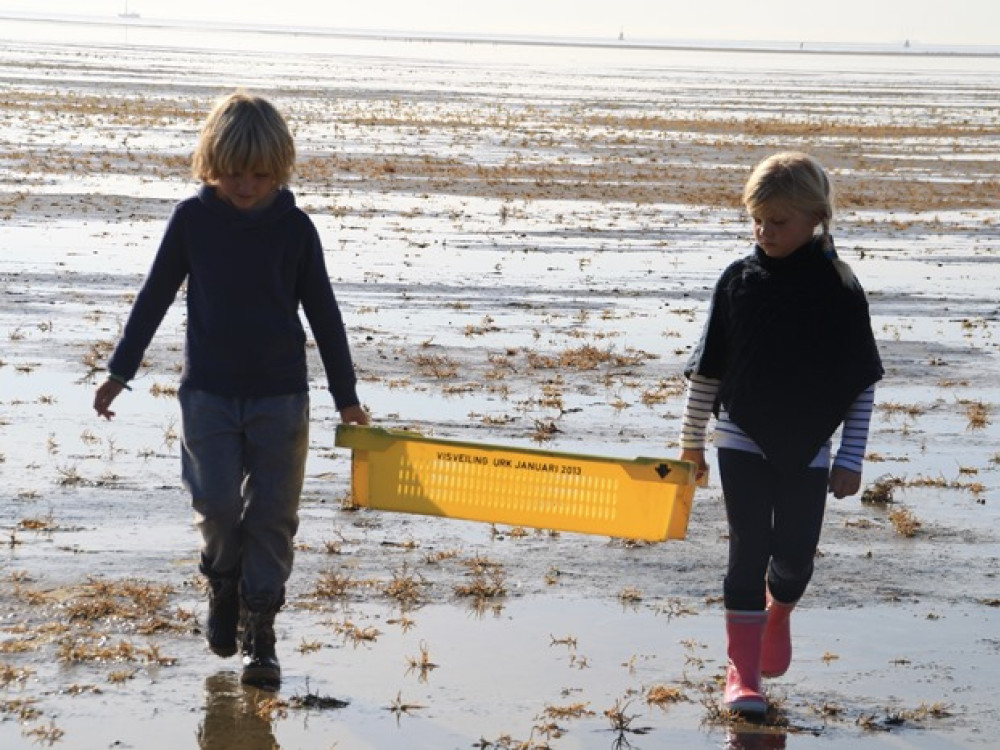 Aan zee