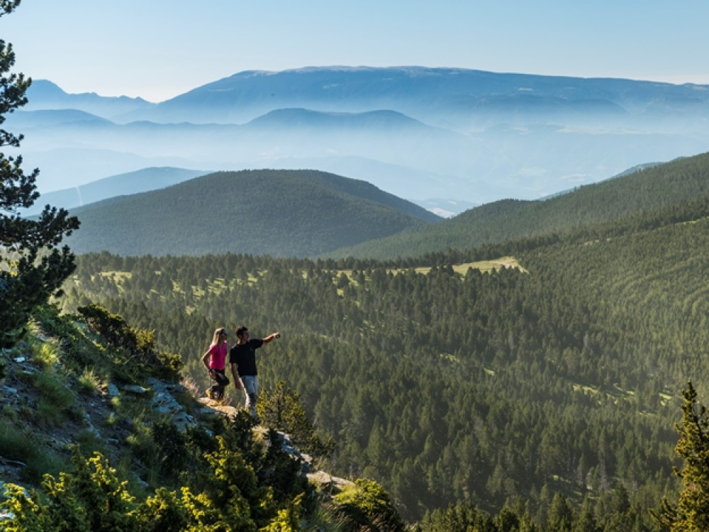 Alt Pirineu