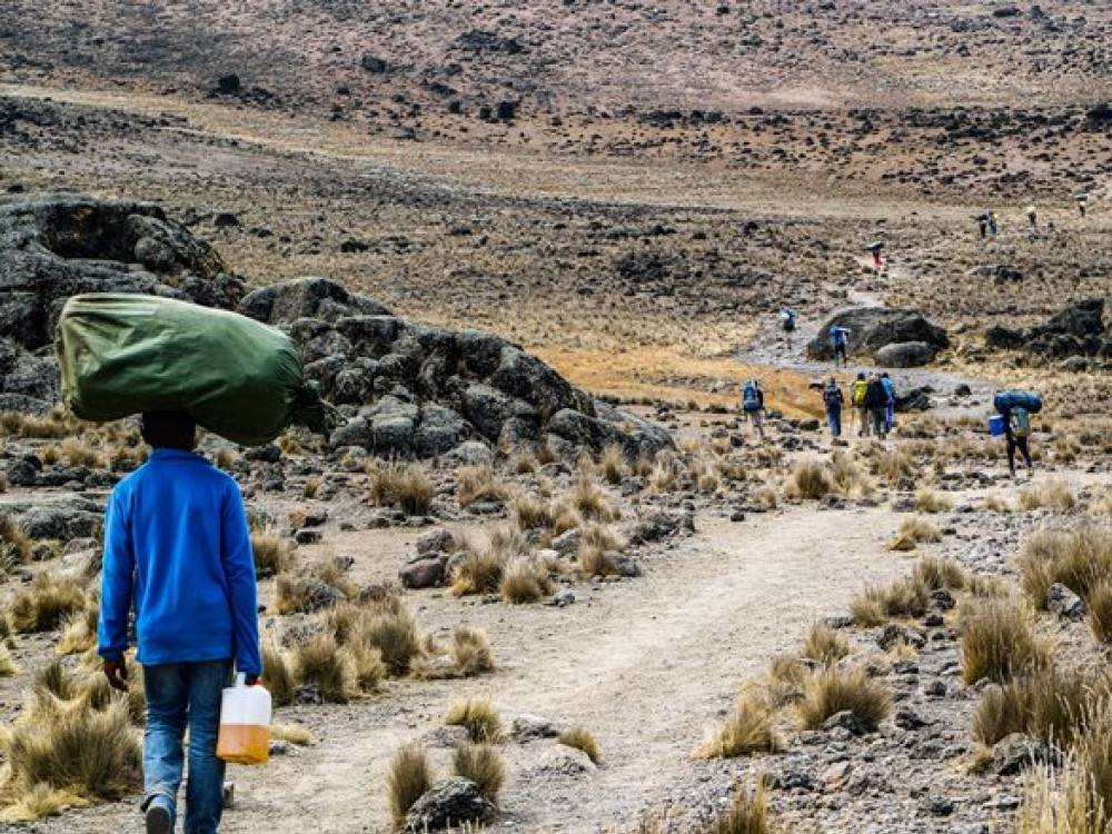 Trekking Kilimanjaro