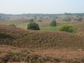 Veluwe