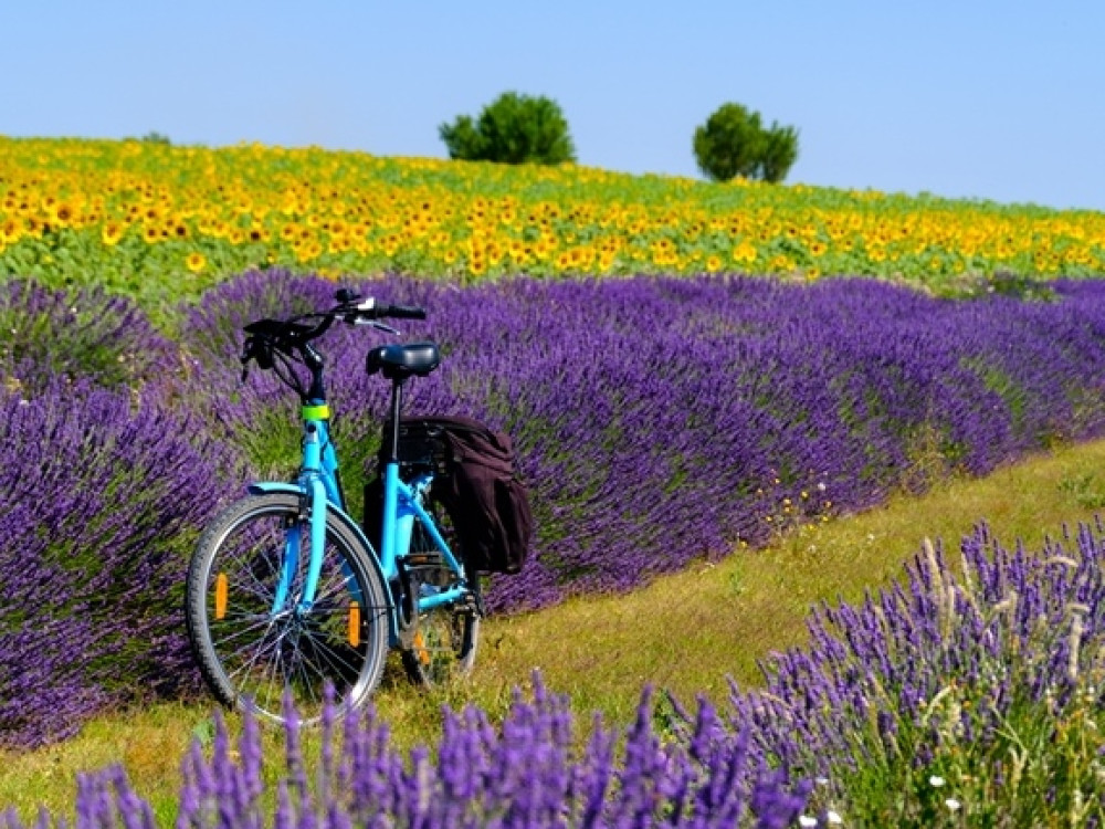 Fietsen in Zuid-Frankrijk