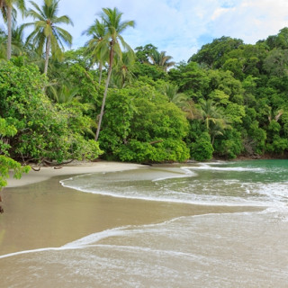 Afbeelding voor Mooie stranden in Costa Rica