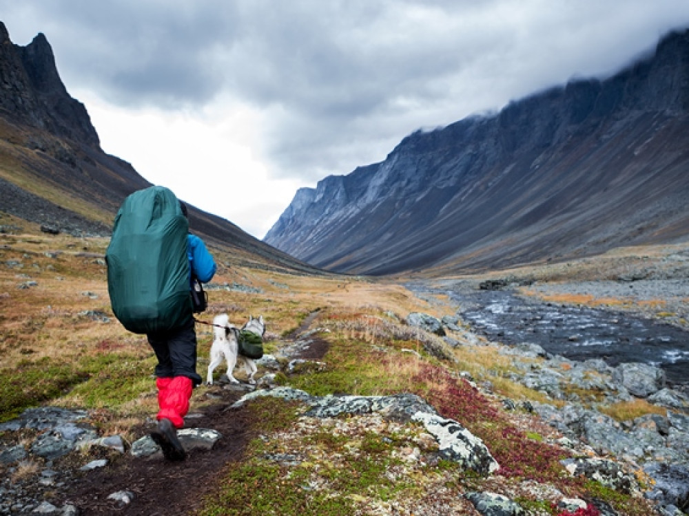 Zweden trekking