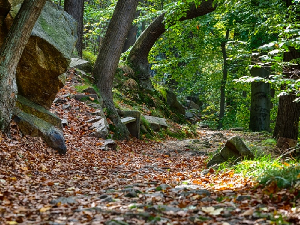 Wandelen in Duitsland