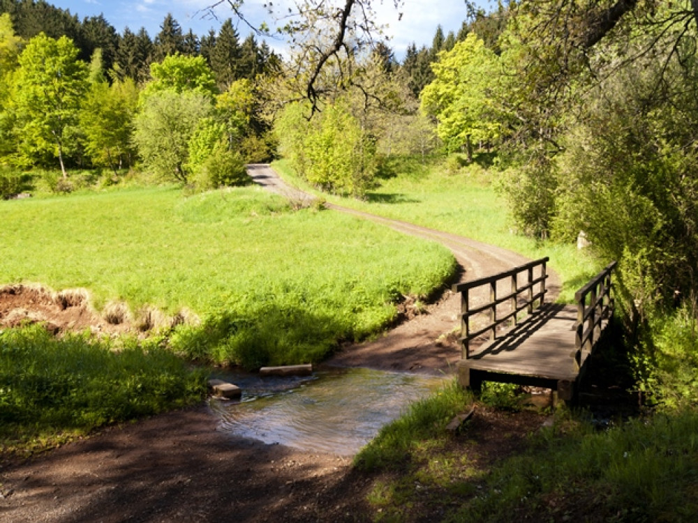 Eifelsteig wandelen